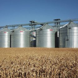 Mysilo-slider-007